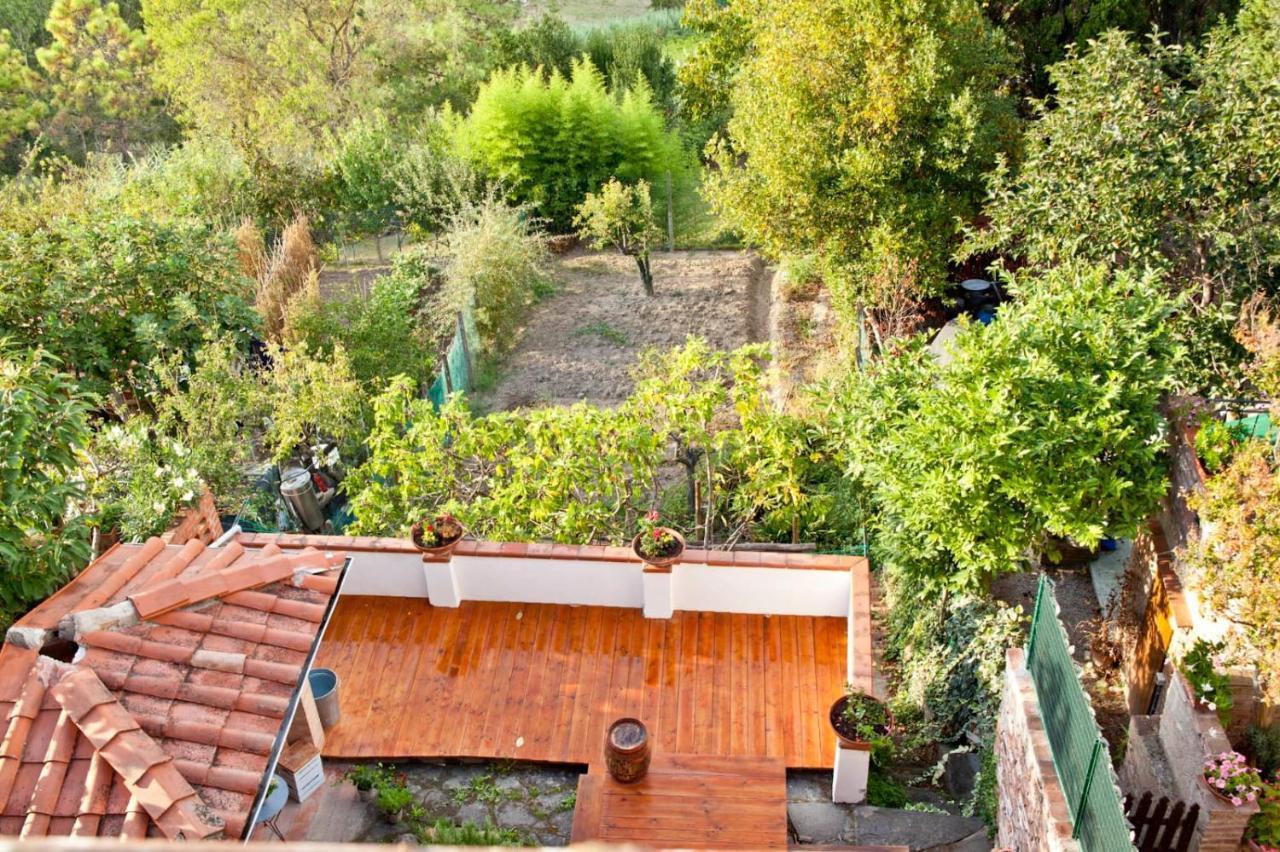 A Casa Di Pablo Bed and Breakfast San Miniato Exteriör bild